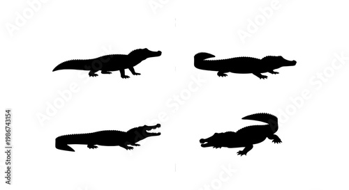 Crocodile silhouette vector set, black alligator icons on white background, 4 predatory reptile elements for wildlife design and logos