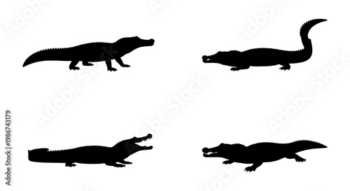 Crocodile silhouette vector set, black alligator icons on white background, 4 wild reptile elements, predatory swamp animals for nature design