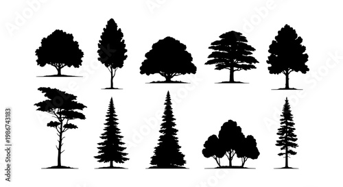 Black tree silhouettes collection, set of 10 forest plant icons. Minimalist deciduous and evergreen tree shapes, botanical vector elements for landscape design