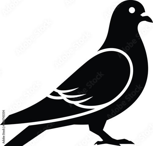 Black silhouette of a pigeon standing on white background bird