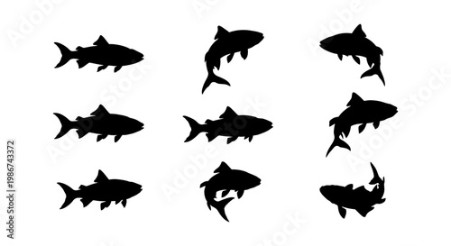 Shark silhouette collection, 9 black shark vector icons in various swimming poses, predatory sea fish silhouettes for marine life design