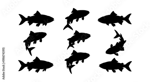 Black fish silhouette collection, set of 9 aquatic animal vector icons, swimming trout and salmon shapes for fishing logos and nature design