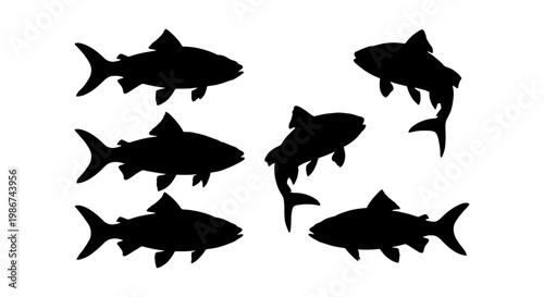 Black fish silhouette collection, set of 6 salmon and trout vector shapes, minimalist aquatic animal icons for fishing and seafood logos