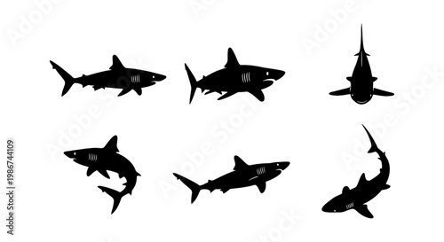 Shark silhouette set with 6 black vector icons, predatory great white shark swimming in various poses, marine life predator graphics for logo design