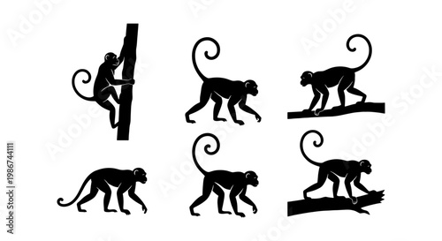 Black monkey silhouette collection, set of 6 primate vector icons, wild monkey climbing and walking on tree branches, jungle animal silhouettes