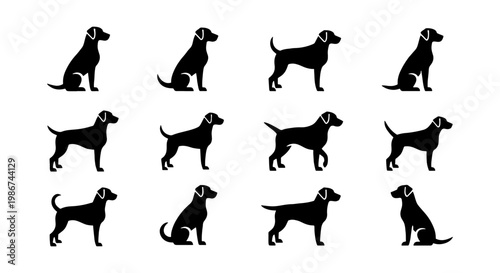 Black Labrador Retriever Dog Silhouettes, Set of 12 Vector Icons, Standing and Sitting Hunting Dog Poses, Minimalist Pet Animal Graphics