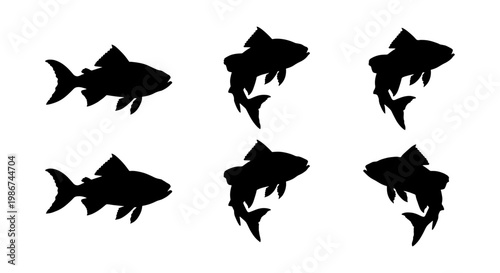 Black fish silhouette collection, set of 6 trout and salmon vector icons, jumping and swimming freshwater fish shapes on white background