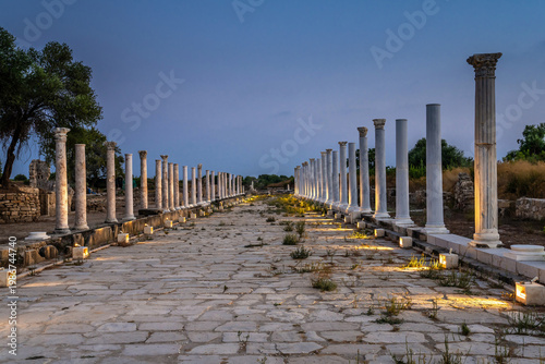 Fotografi The road with the colonnades in Side antique town in the twilight