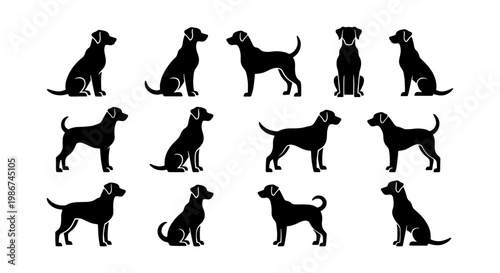 Black Labrador Retriever dog silhouettes, set of 13 canine vector icons. Minimalist pet animal profiles in sitting and standing poses for logo design.