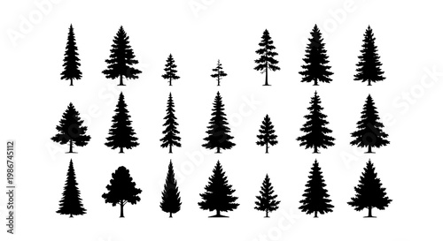 Pine tree silhouette collection, 21 conifer evergreen forest icons, black spruce and fir tree vector set for outdoor landscape design