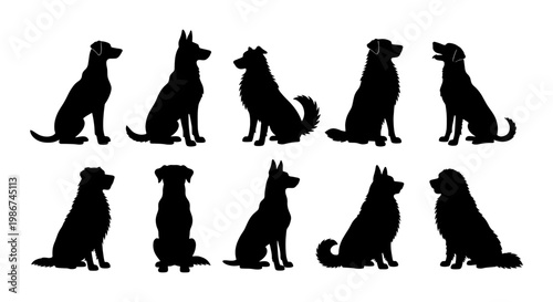 Black dog silhouettes collection, set of 10 sitting canine vector shapes, various dog breeds profile outlines isolated on white background