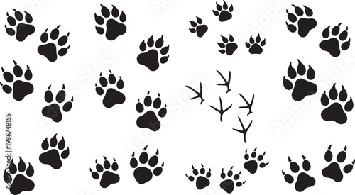 A collection of high-contrast vector silhouettes featuring large mammal paw prints with sharp claws and distinct bird track patterns.