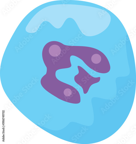 Basophil white blood cell in blue cytoplasm with purple lobes, representing immune defense