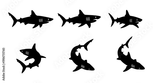 Shark silhouette vector collection, set of 6 predatory great white shark icons, black marine animal shapes for ocean conservation and fishing logos