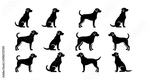 Black dog silhouette icons set, 12 labrador and retriever vector elements, sitting and standing canine pet silhouettes for logos and signage