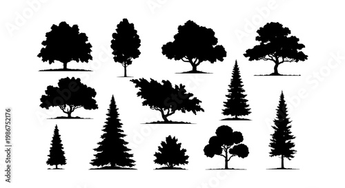 Black tree silhouettes collection, set of 11 deciduous and coniferous tree vector icons, forest and park vegetation elements for landscape design
