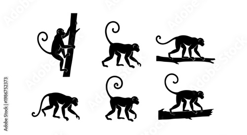 Black monkey silhouette collection, set of 6 primate vector icons, wild macaque and chimpanzee shapes climbing and walking on branches