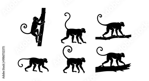Monkey silhouette vector set, 6 wild primate icons in various poses, black monkey silhouettes climbing and walking on branches for jungle wildlife design