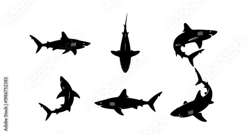 Shark silhouette vector set, black predatory fish icons in various swimming poses, 6 great white shark elements for marine life design