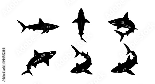 Shark silhouette vector set, great white shark swimming in different poses, 6 black marine predator icons isolated on white background