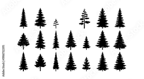 Pine tree silhouettes collection, set of 20 evergreen conifer vector icons, black forest fir and spruce shapes isolated on white background