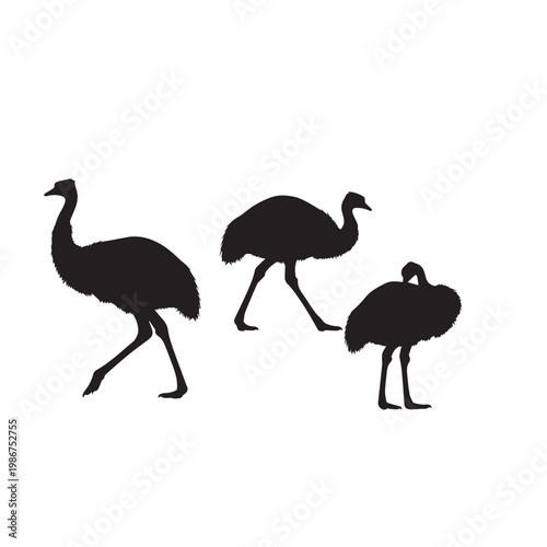 Emu Silhouette Set Black White Vector Minimal Illustration
Emu Bird Silhouettes Collection Simple Flat Design Pack
Emu Vector Bundle Black and White Wildlife Silhouette Set