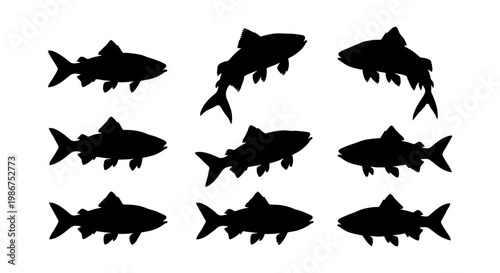 Black fish silhouettes set, collection of 9 trout and salmon vector icons, aquatic animal shapes for fishing and nature design, isolated sea life elements