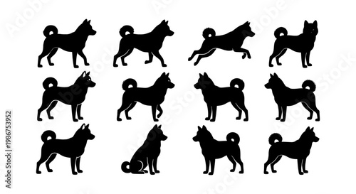 Shiba Inu dog silhouettes collection, 12 black canine vector icons, Japanese Akita breed poses in profile, standing and running pet animal graphics