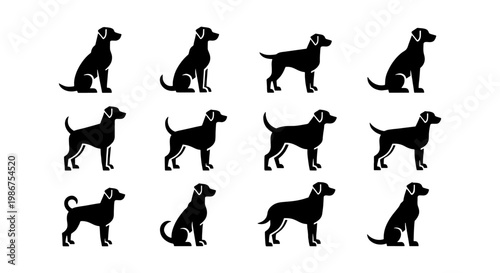 Black dog silhouette icons set, 12 labrador and retriever vector elements, flat animal profile symbols for pet care branding and veterinary logos