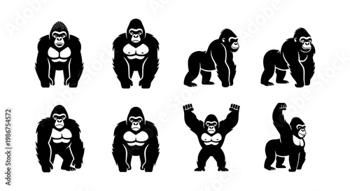 Gorilla mascot vector set, 8 powerful black and white ape icons, silverback primate silhouettes for sports logos and gym branding