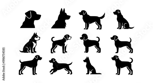 Black dog silhouettes collection, set of 12 canine breed icons in profile, minimalist pet animal vector graphics for veterinary and grooming logos