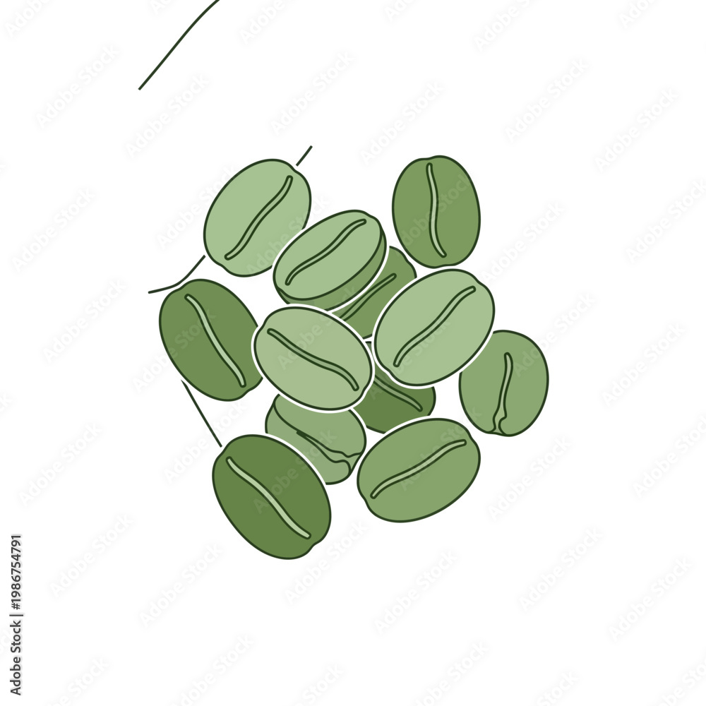 Obraz premium Green Coffee Beans Illustration, Raw Unroasted Arabica Beans, Healthy Beverage Ingredient