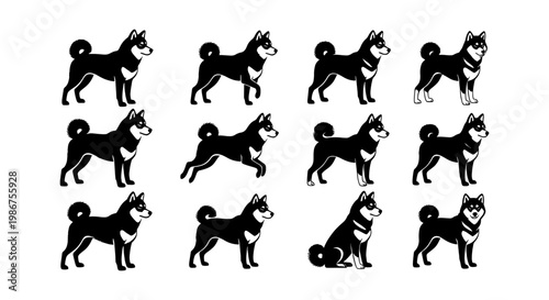 Shiba Inu dog vector set, 12 black and white Japanese dog icons, Shiba Inu breed in various poses and movements, minimalist pet illustrations