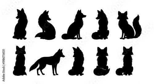 Black fox silhouette collection, set of 10 wild animal vector shapes, sitting and standing forest predator icons isolated on white background