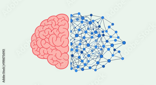 Visualizing the intricate connection between human intelligence and artificial neural networks, representing the synergy of thought and digital processing
