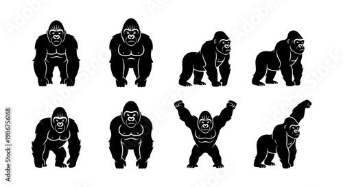 Black gorilla silhouette icons set, 8 vector primate illustrations in various poses, powerful silverback ape mascot graphics for sports and branding