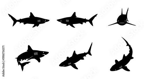 Shark silhouette vector set, 6 black shark icons in various swimming poses, predatory sea fish silhouettes for marine life design and ocean graphics