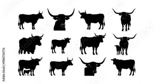 Texas longhorn cattle silhouettes, bull and cow livestock vector set, farm animal icons for ranching and agriculture branding