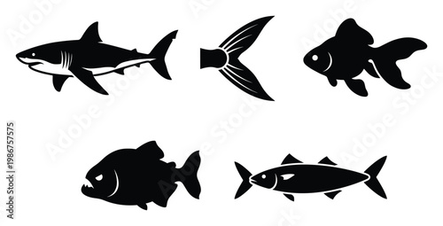 Set of various fish silhouettes featuring a formidable shark, a graceful goldfish, an aggressive piranha, and a distinct fish tail for marine wildlife branding and aquatic education.