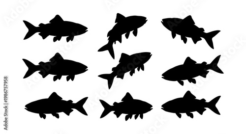 Black fish silhouette collection, set of 9 trout and salmon vector icons, aquatic animal shapes for fishing logos and nature design