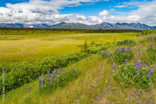Alaska mountains, glacier, forest, view of Homer spit