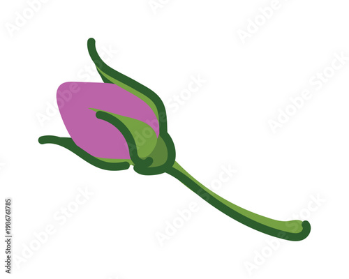Vector illustration of a rosebud in a flat style. Damask rose is a source of aromatic oils and extracts for cosmetics and perfumes. Persian rose is added to herbal teas in China, India, and Morocco.