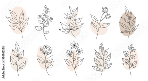 Elegant line art of a leaf branch, conveying tranquility and natural growth. Ideal for website design, social media, or marketing materials needing a 