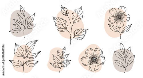 A modern, minimalist illustration conveys growth, simplicity, and tranquility. Ideal for branding, websites, or adding a touch of natural elegance to 