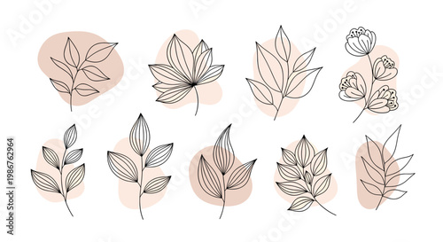 A calming and elegant graphic design featuring a delicate leaf and a circle, perfect for branding, website elements, or adding a touch of nature.