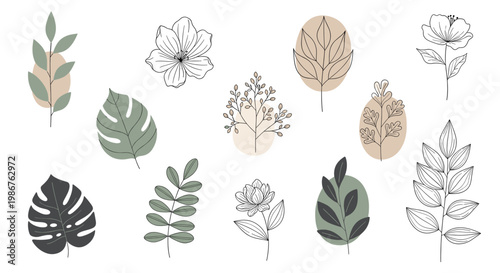 A stylish monstera leaf illustration evokes a sense of natural beauty and calm, ideal for branding, website design, or adding a touch of organic flair
