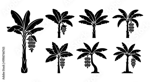 Banana tree silhouette collection, 7 tropical plant vector icons with fruit bunches, black palm leaf shapes for exotic summer design