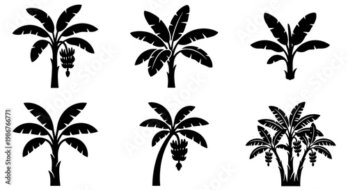 Tropical banana tree silhouette collection, set of 6 exotic palm plant icons, black botanical fruit tree vectors for summer vacation and jungle design