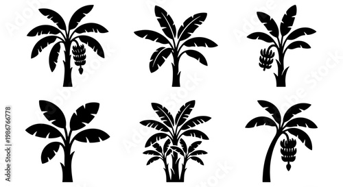 Tropical banana tree silhouettes, set of 6 black palm leaf vector icons, exotic botanical plant illustrations for summer vacation and beach branding
