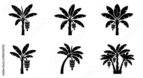 Tropical banana tree silhouette icons, set of 6 exotic palm plant vectors, black botanical fruit tree symbols for summer branding and nature design